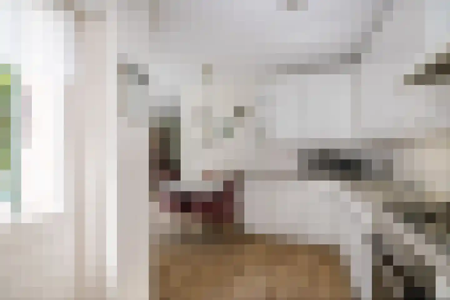 Kerkstraat 14 Voorst thumbnail 13