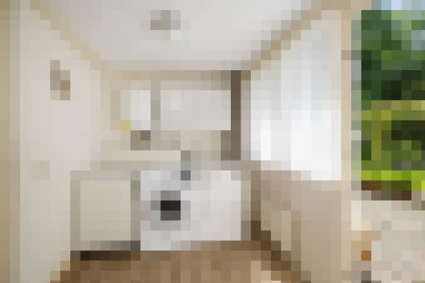 Kerkstraat 14 Voorst thumbnail 14