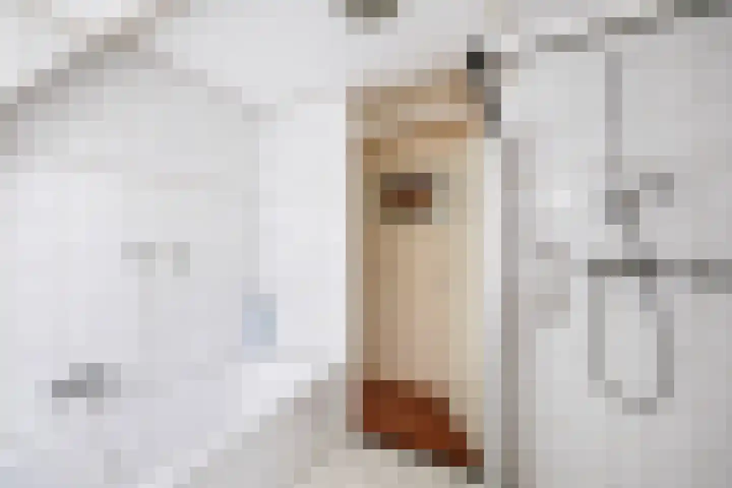 Kerkstraat 14 Voorst thumbnail 24