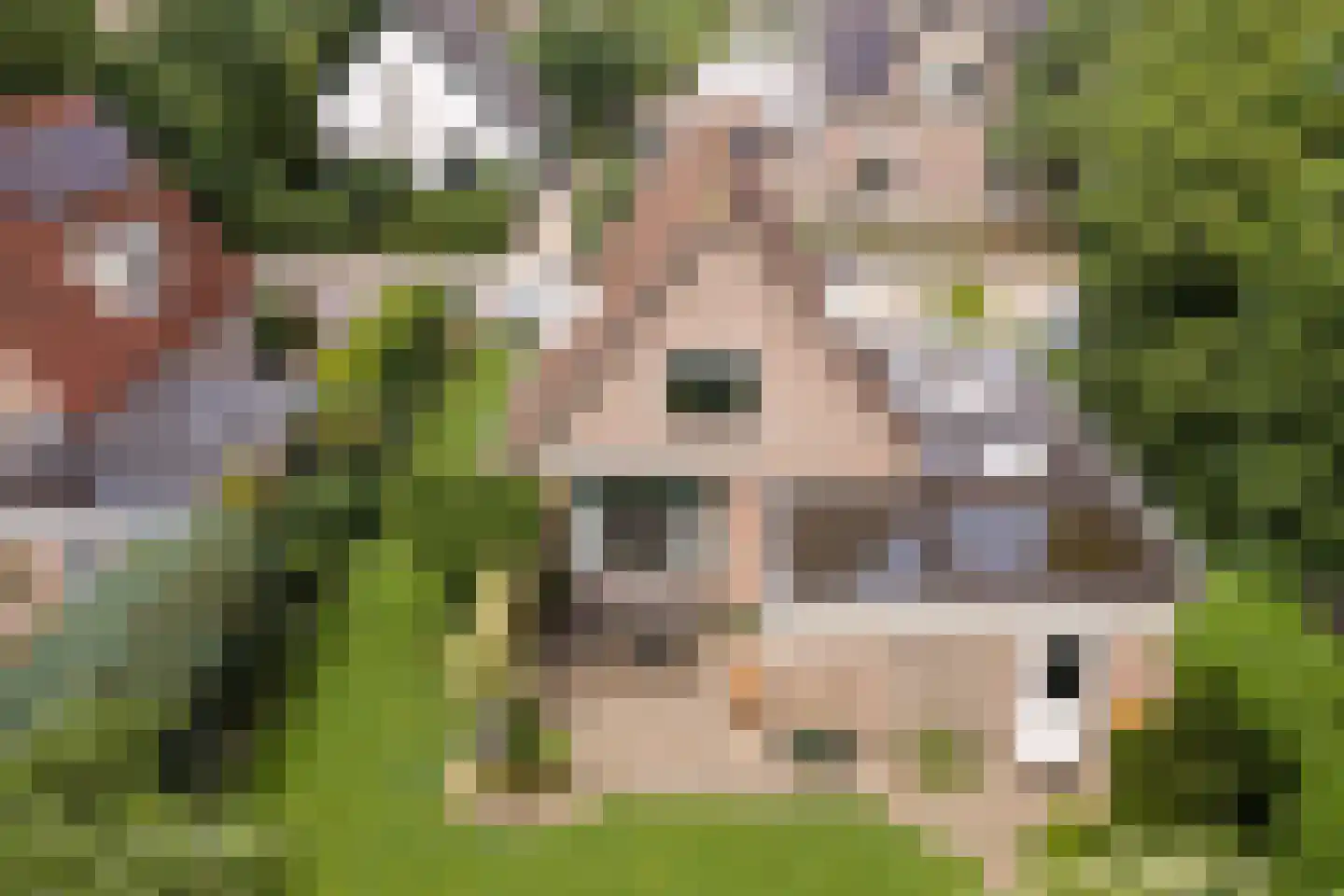 Kerkstraat 14 Voorst thumbnail 26