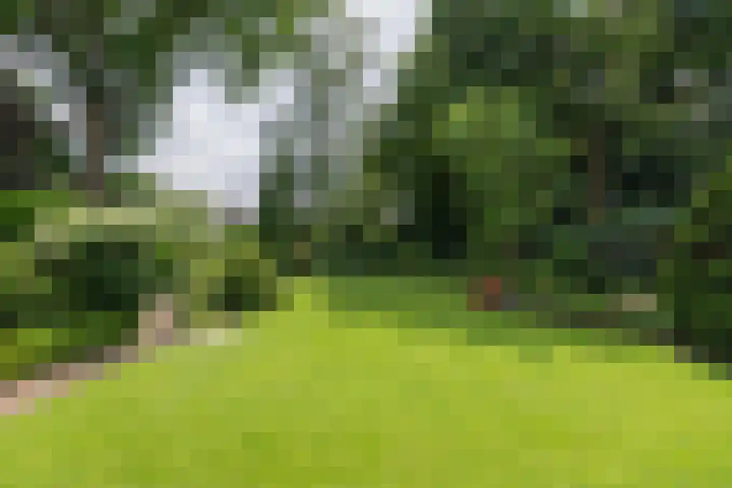 Kerkstraat 14 Voorst thumbnail 31