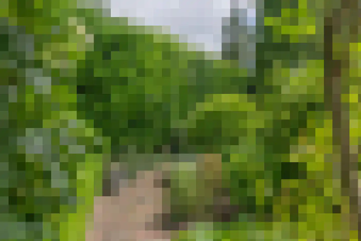 Kerkstraat 14 Voorst thumbnail 33
