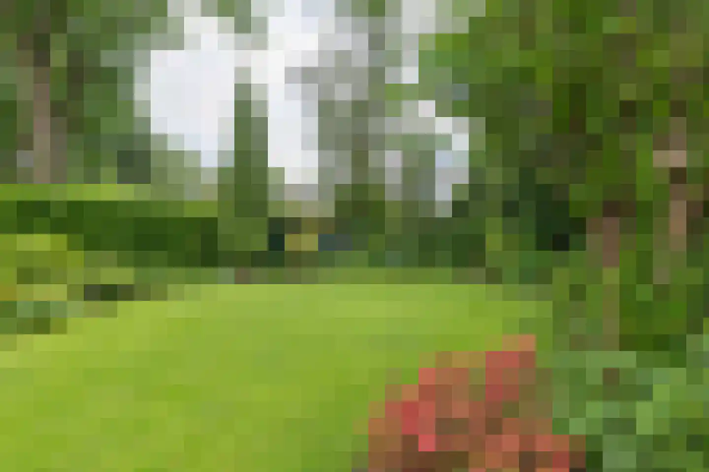 Kerkstraat 14 Voorst thumbnail 34