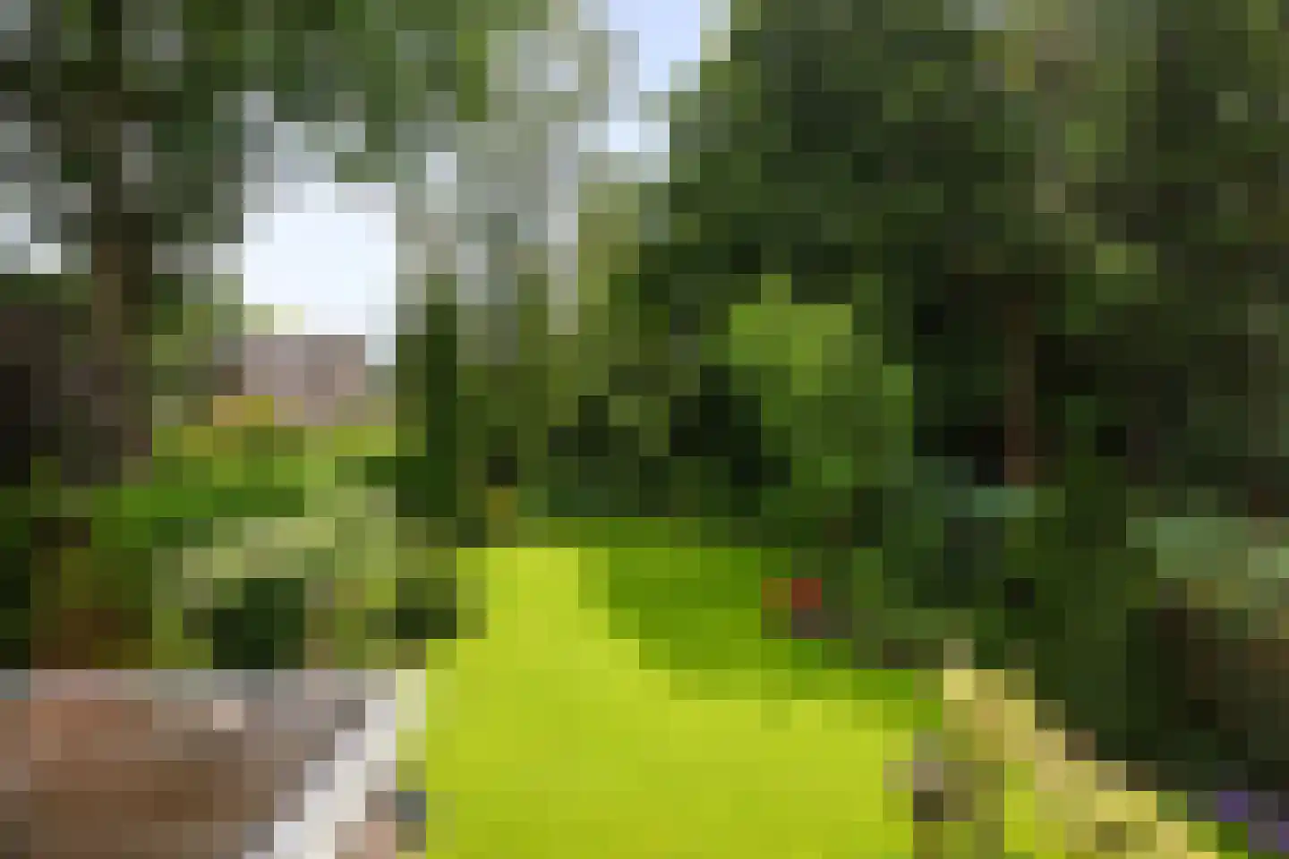 Kerkstraat 14 Voorst thumbnail 36