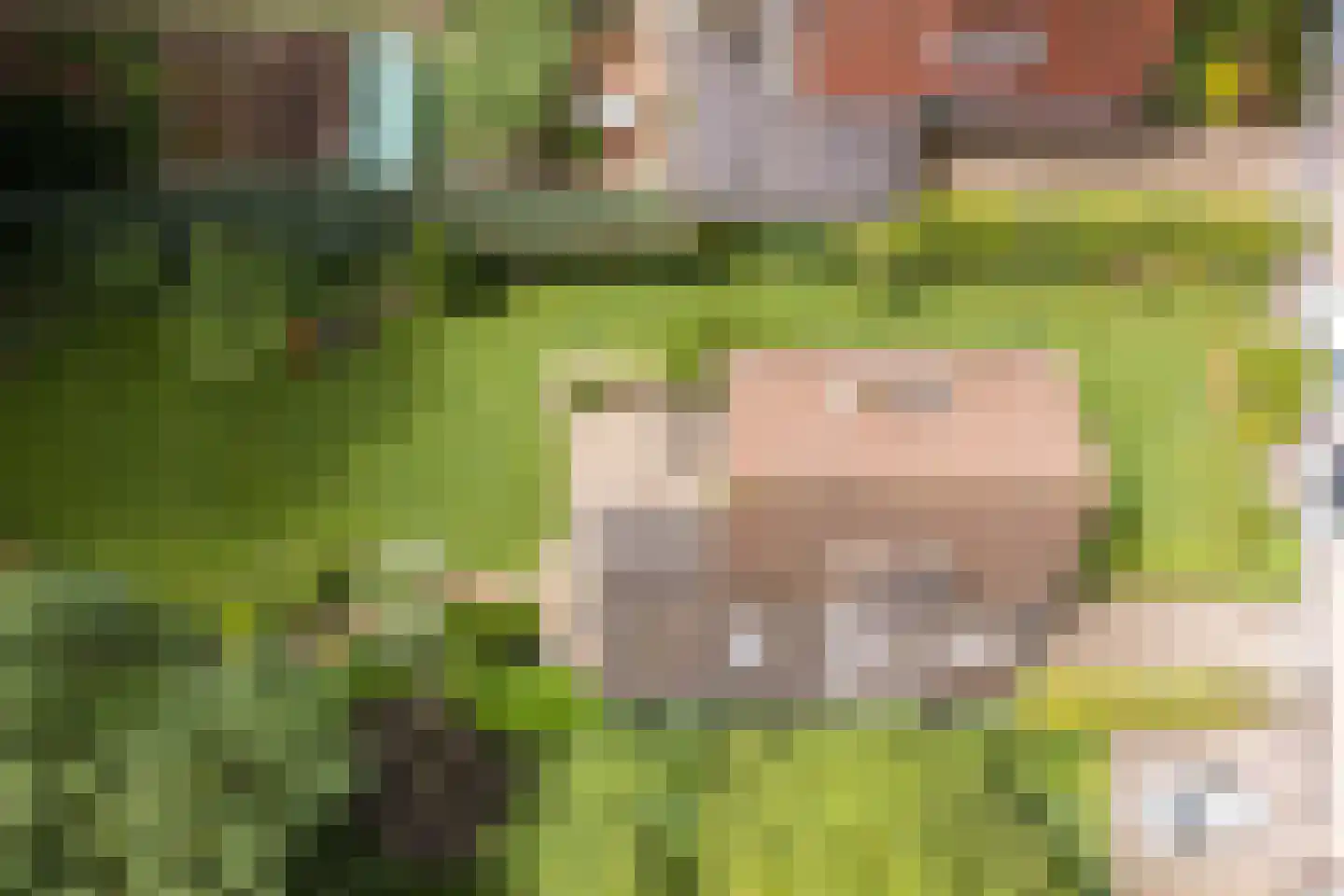 Kerkstraat 14 Voorst thumbnail 37