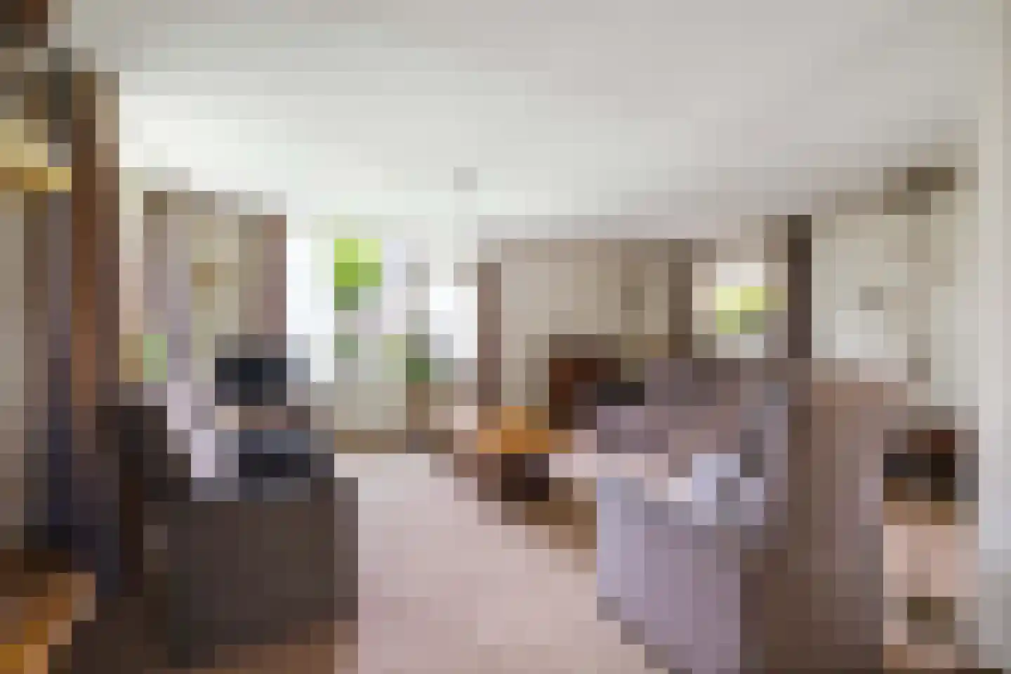 Kerkstraat 14 Voorst thumbnail 5