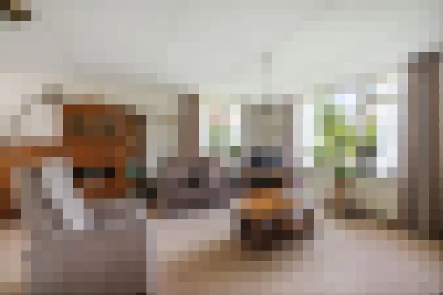 Kerkstraat 14 Voorst thumbnail 8