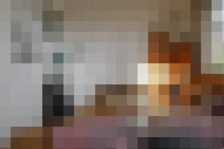 Kerkstraat 14 Vriezenveen thumbnail 12