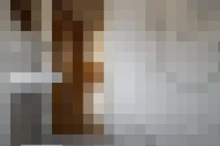 Kerkstraat 14 Vriezenveen thumbnail 26