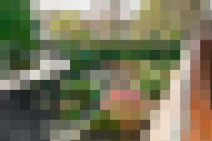 Kerkstraat 14 Vriezenveen thumbnail 35