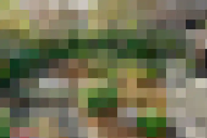 Kerkstraat 14 Vriezenveen thumbnail 36