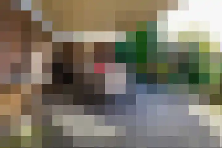 Kerkstraat 14 Vriezenveen thumbnail 43
