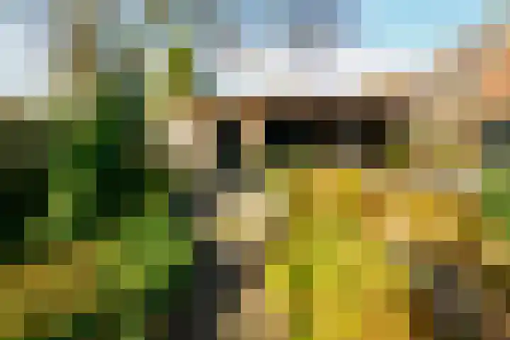 Kerkstraat 14 Vriezenveen thumbnail 47