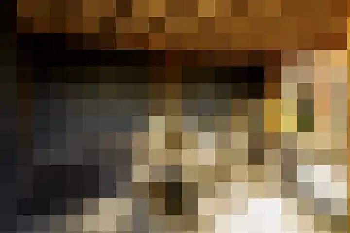 Kerkstraat 14 Vriezenveen thumbnail 50