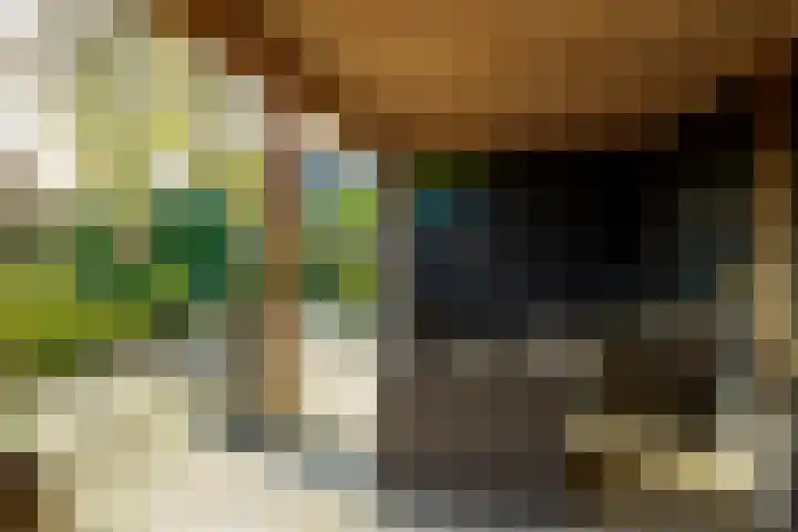 Kerkstraat 14 Vriezenveen thumbnail 51