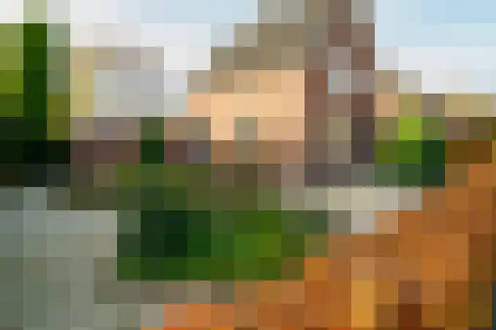 Kerkstraat 14 Vriezenveen thumbnail 56