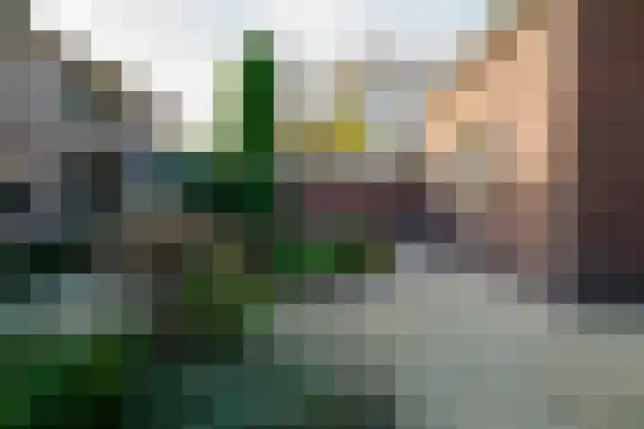 Kerkstraat 14 Vriezenveen thumbnail 58
