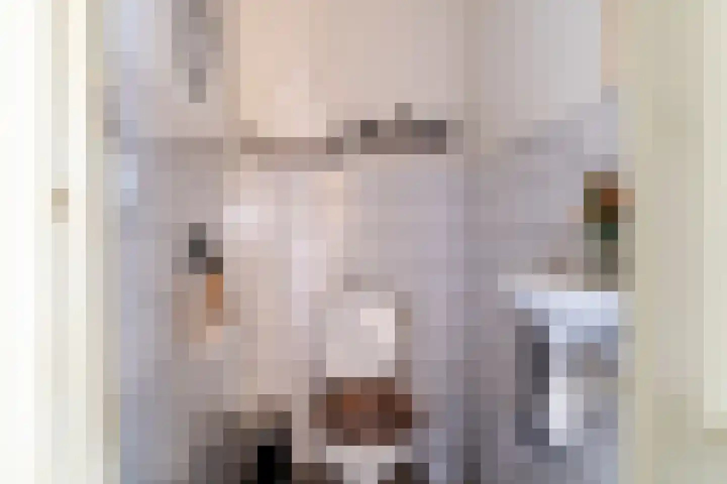 Kerkstraat 14 Waspik thumbnail 18