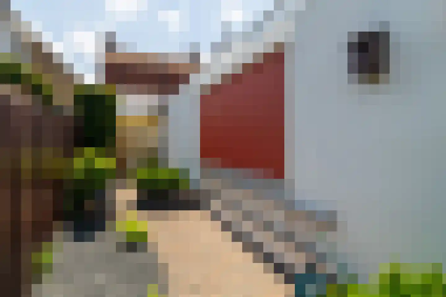 Kerkstraat 14 Waspik thumbnail 31