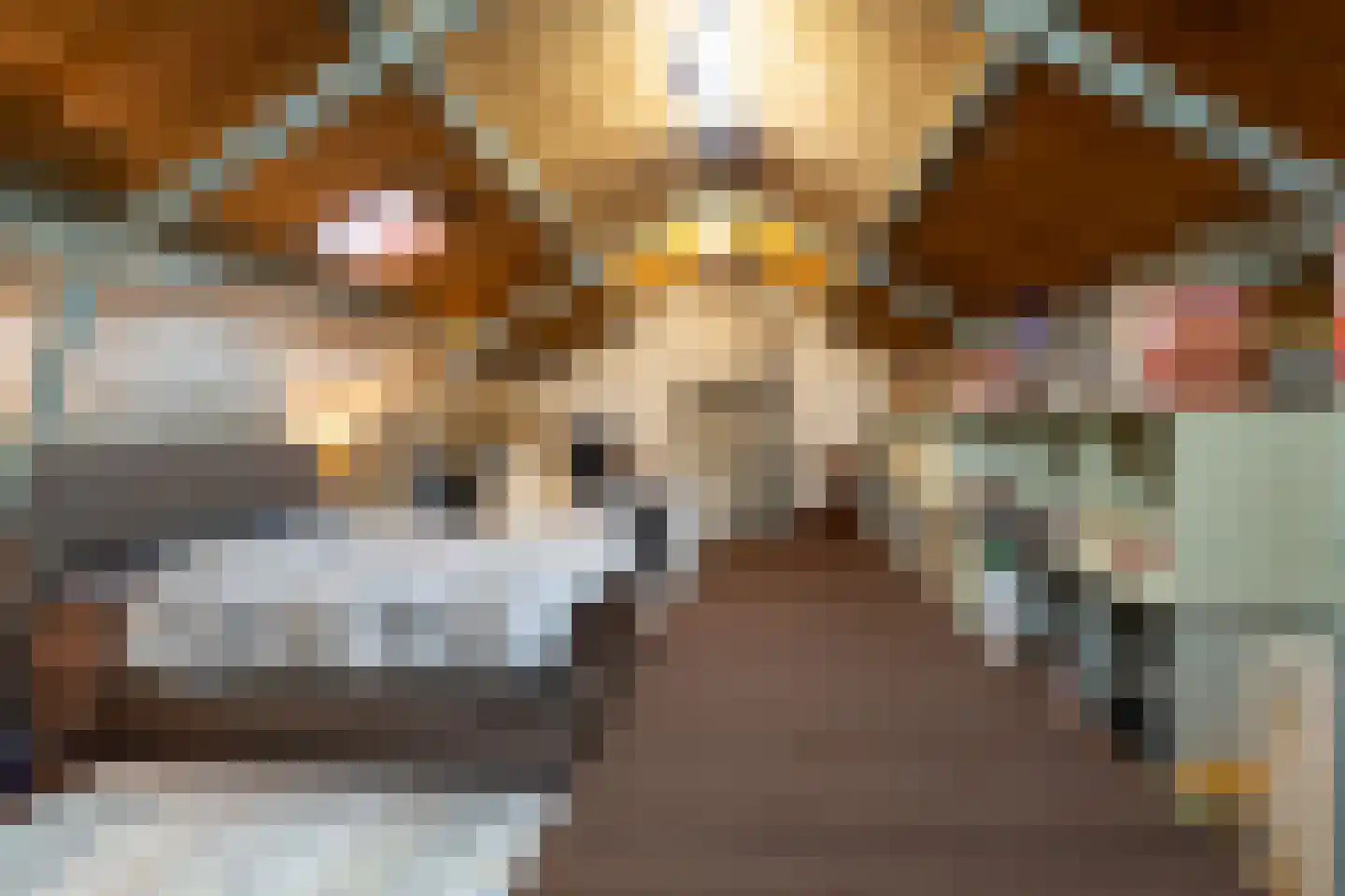 Kerkstraat 14 Waspik thumbnail 40
