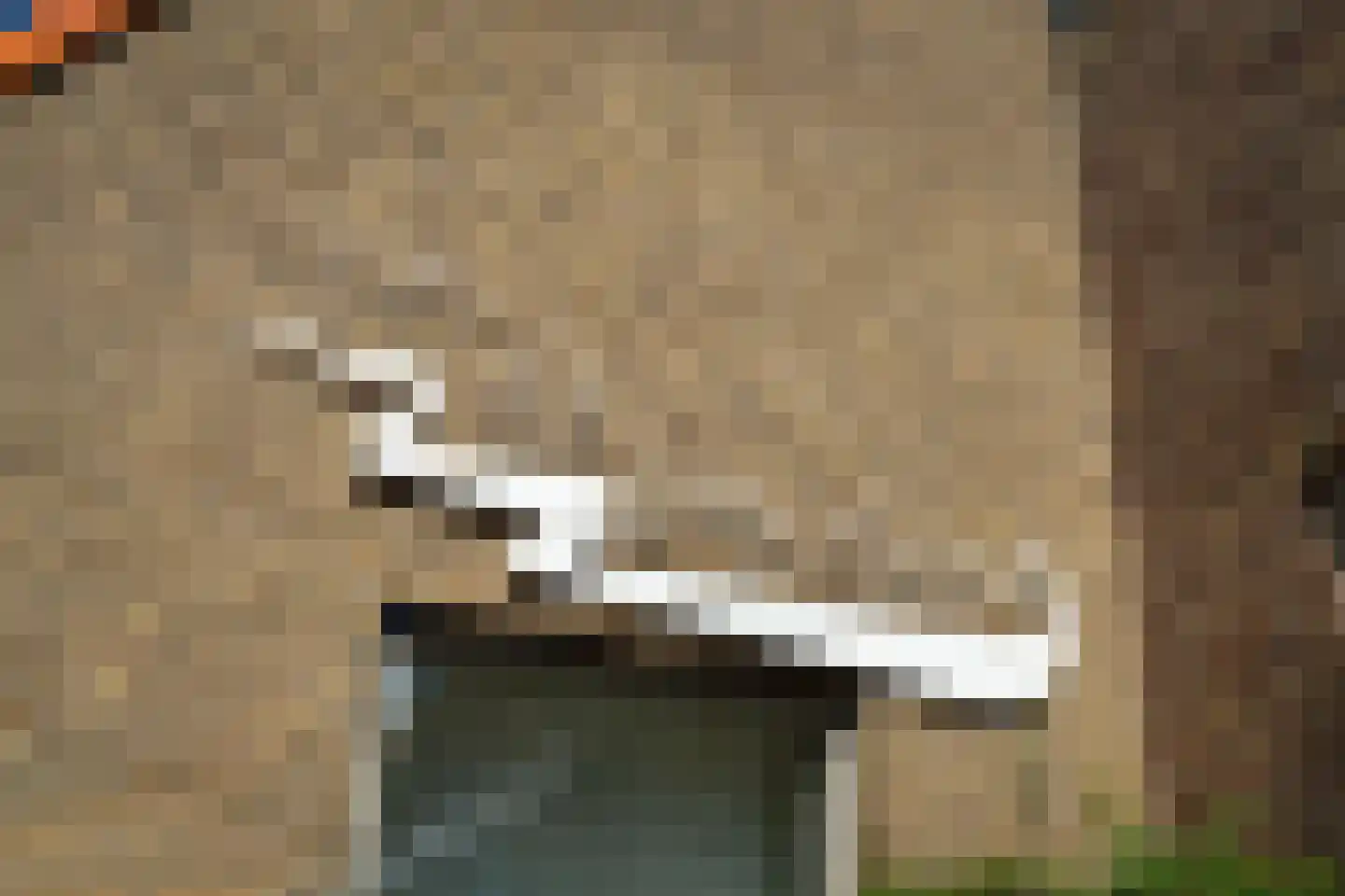 Kerkstraat 14 Waspik thumbnail 8