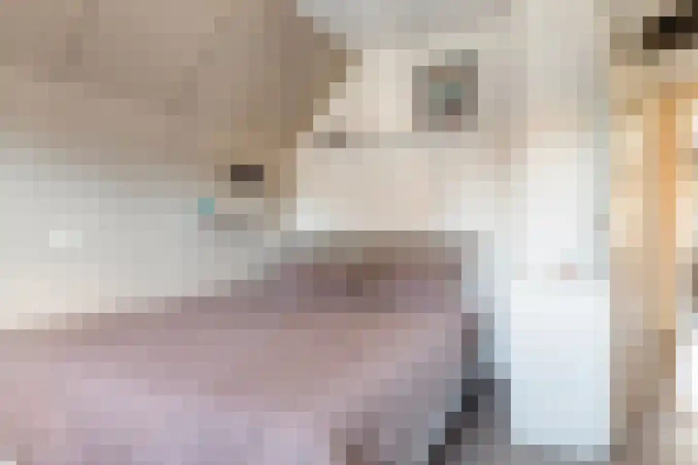 Kerkstraat 14 Wierden thumbnail 21