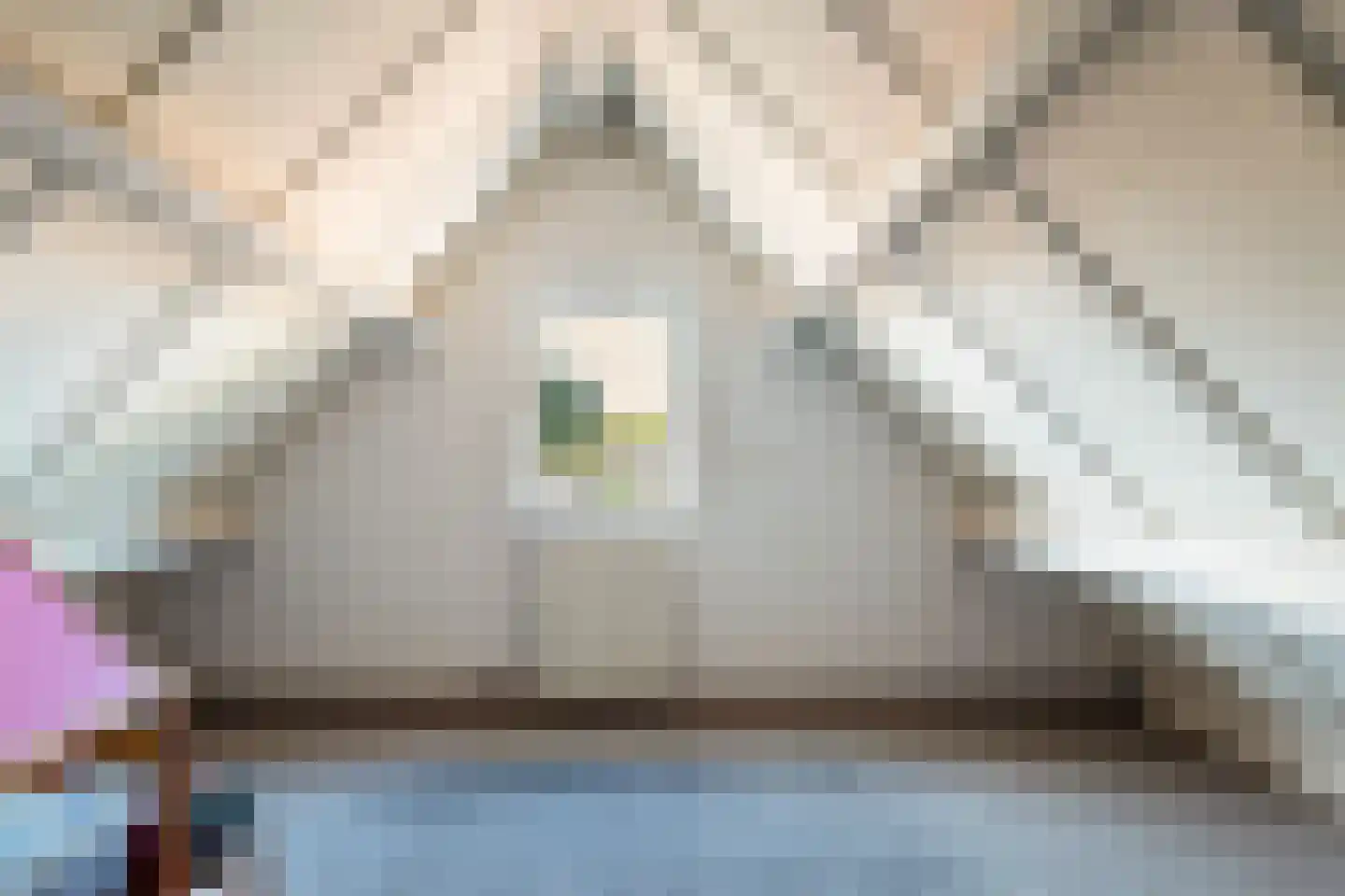 Kerkstraat 14 Wierden thumbnail 26