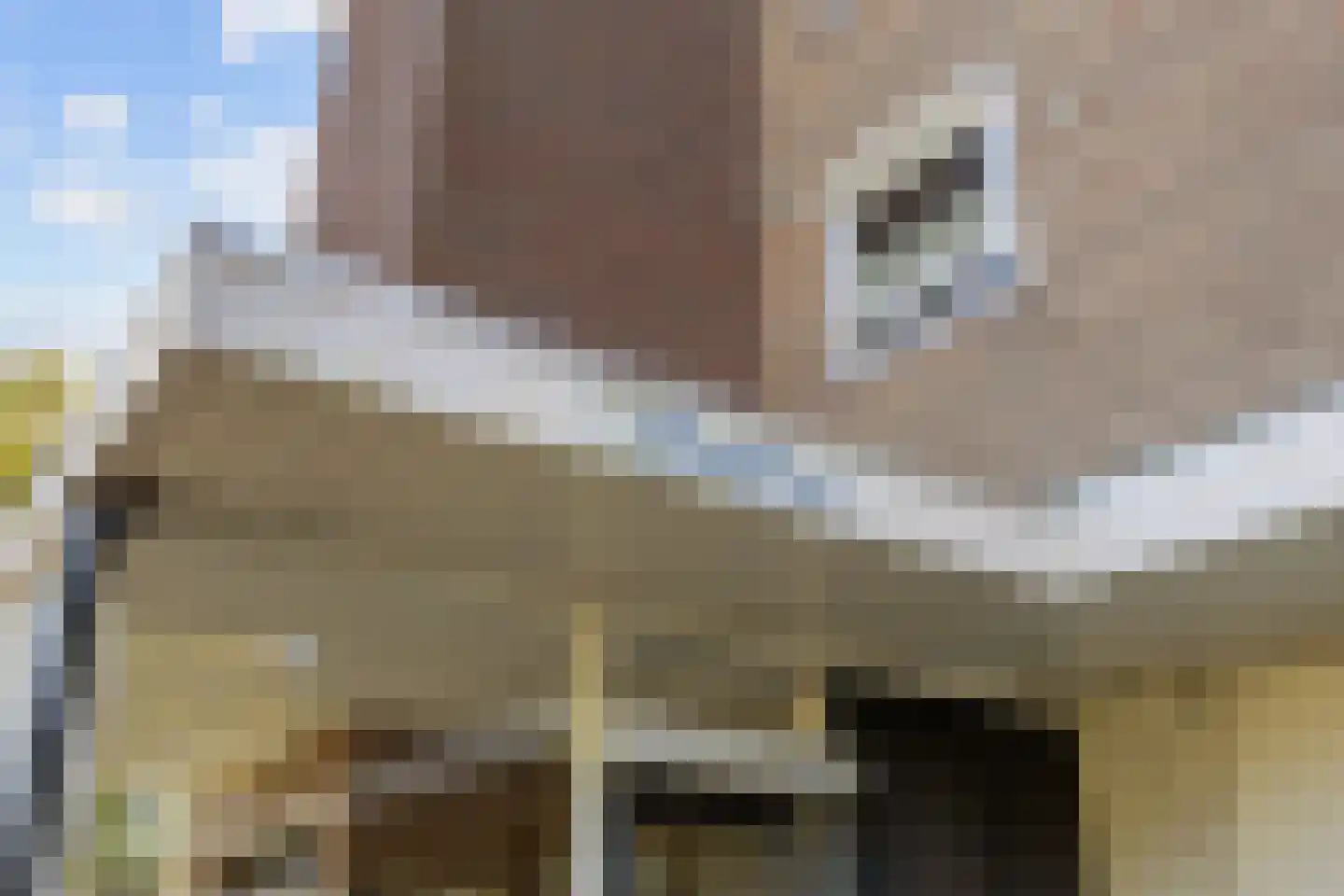 Kerkstraat 147 Hoogezand thumbnail 8