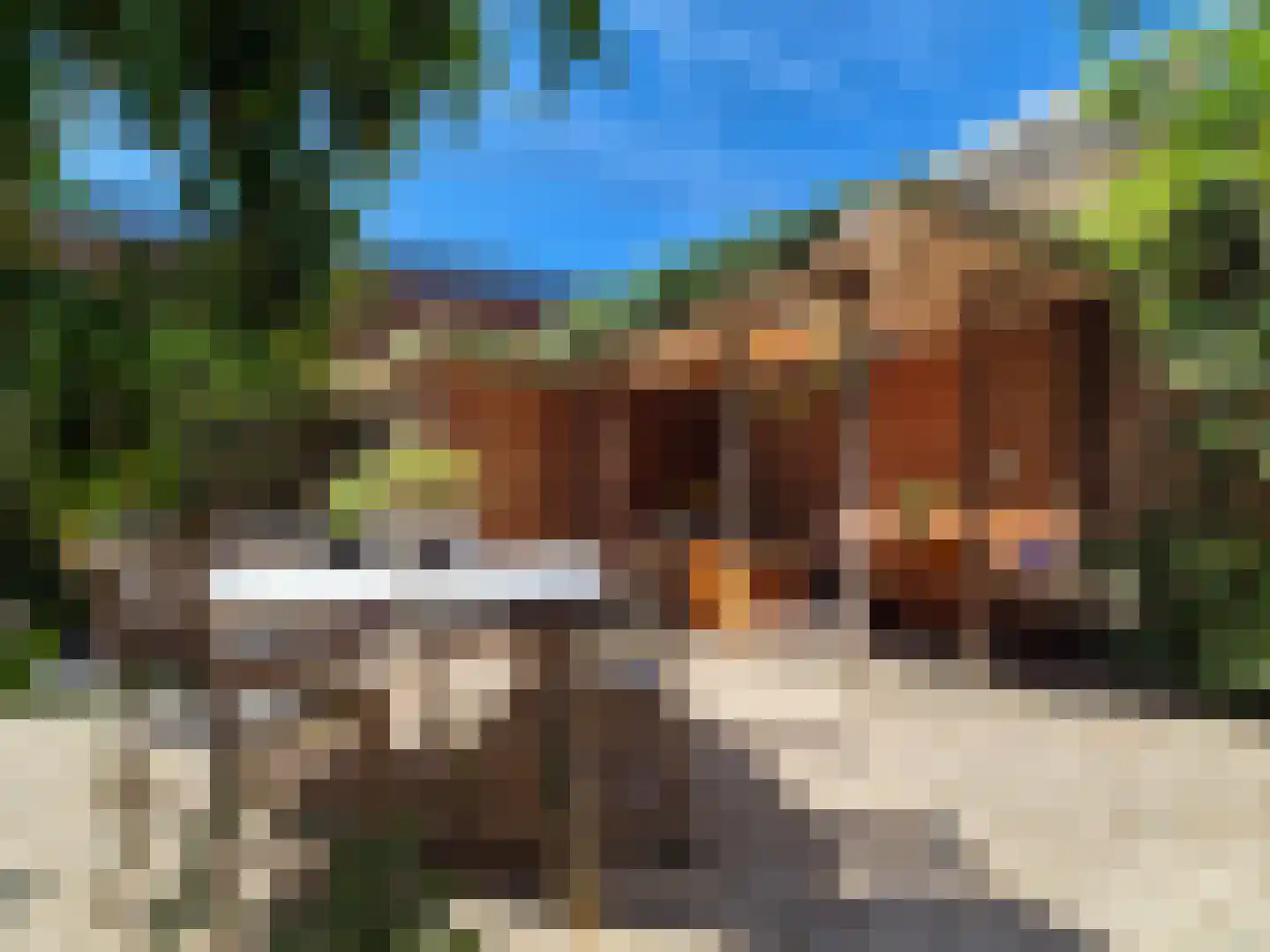 Kerkstraat 147 Wormerveer thumbnail 4