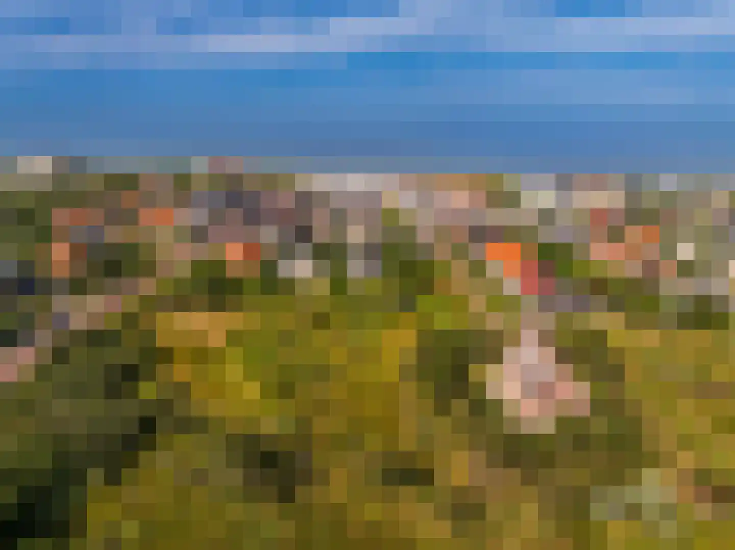 Kerkstraat 15 Bergen aan Zee thumbnail 27