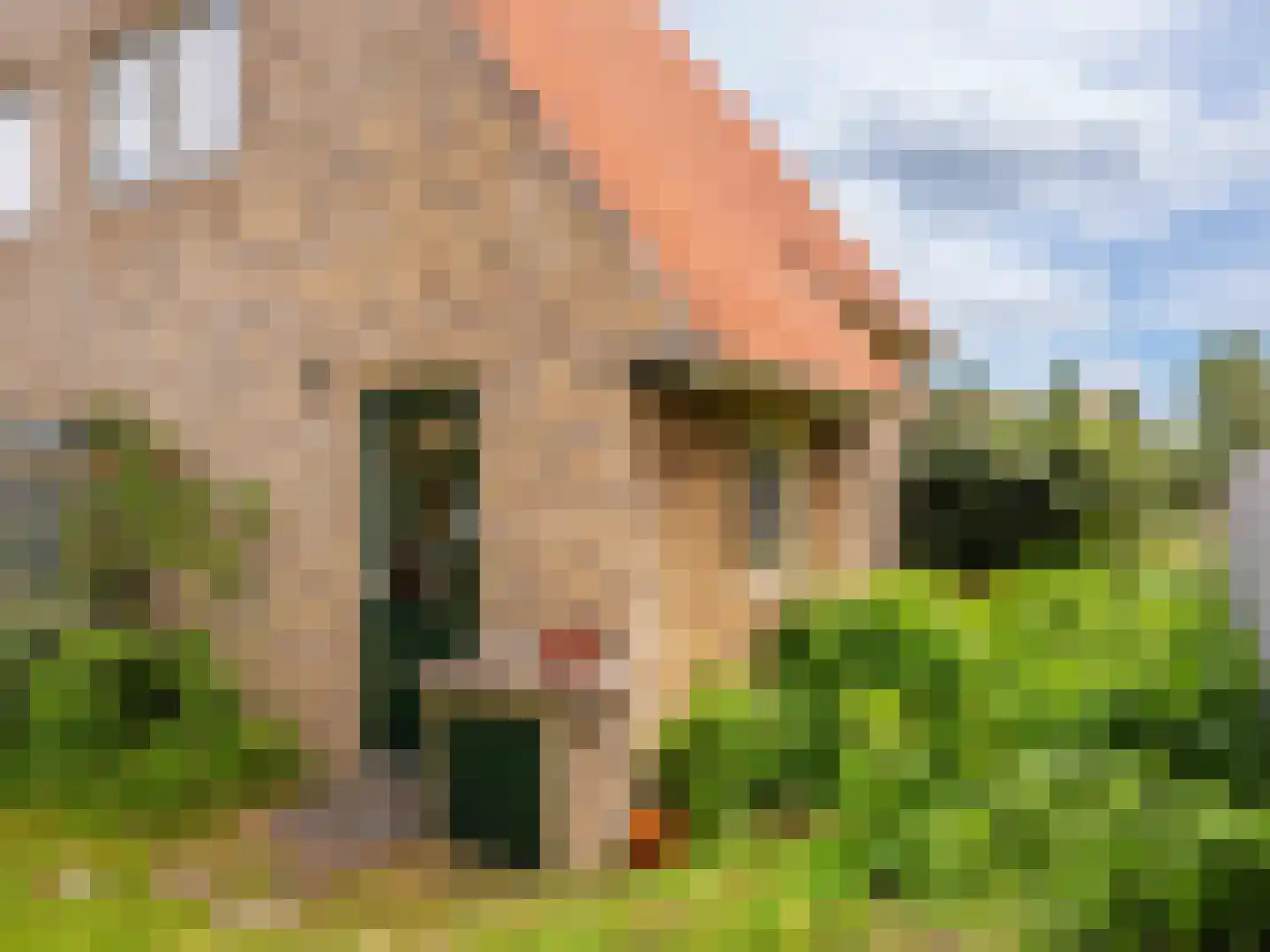Kerkstraat 15 Bergen aan Zee thumbnail 30
