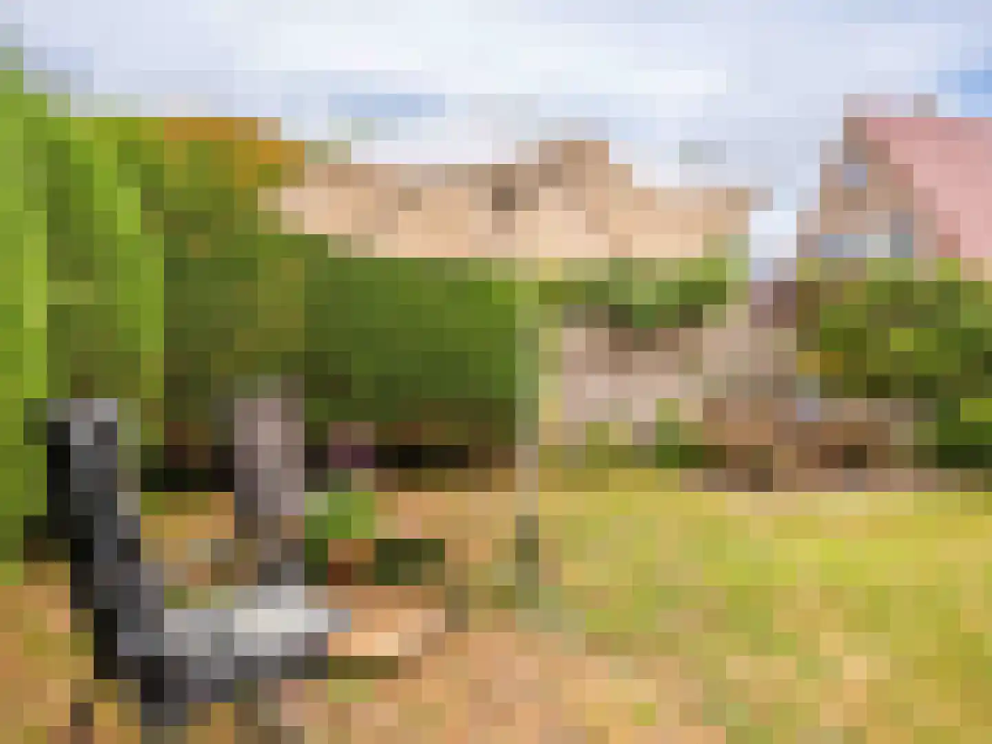 Kerkstraat 15 Bergen aan Zee thumbnail 33