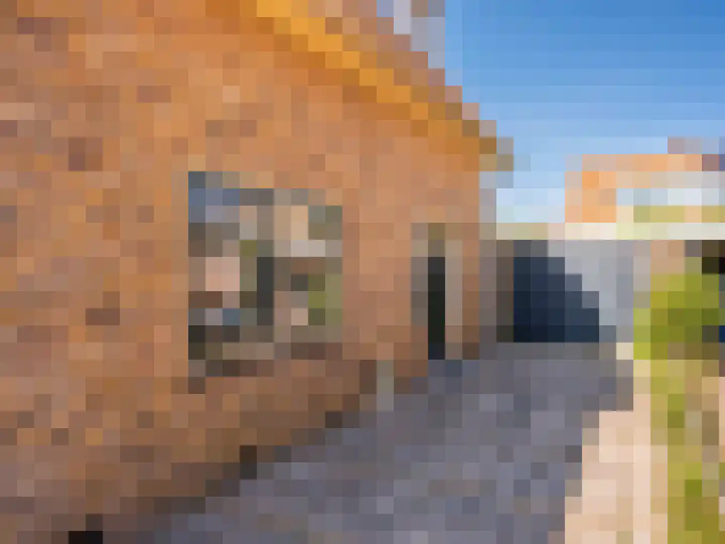 Kerkstraat 15 Bergen aan Zee thumbnail 38