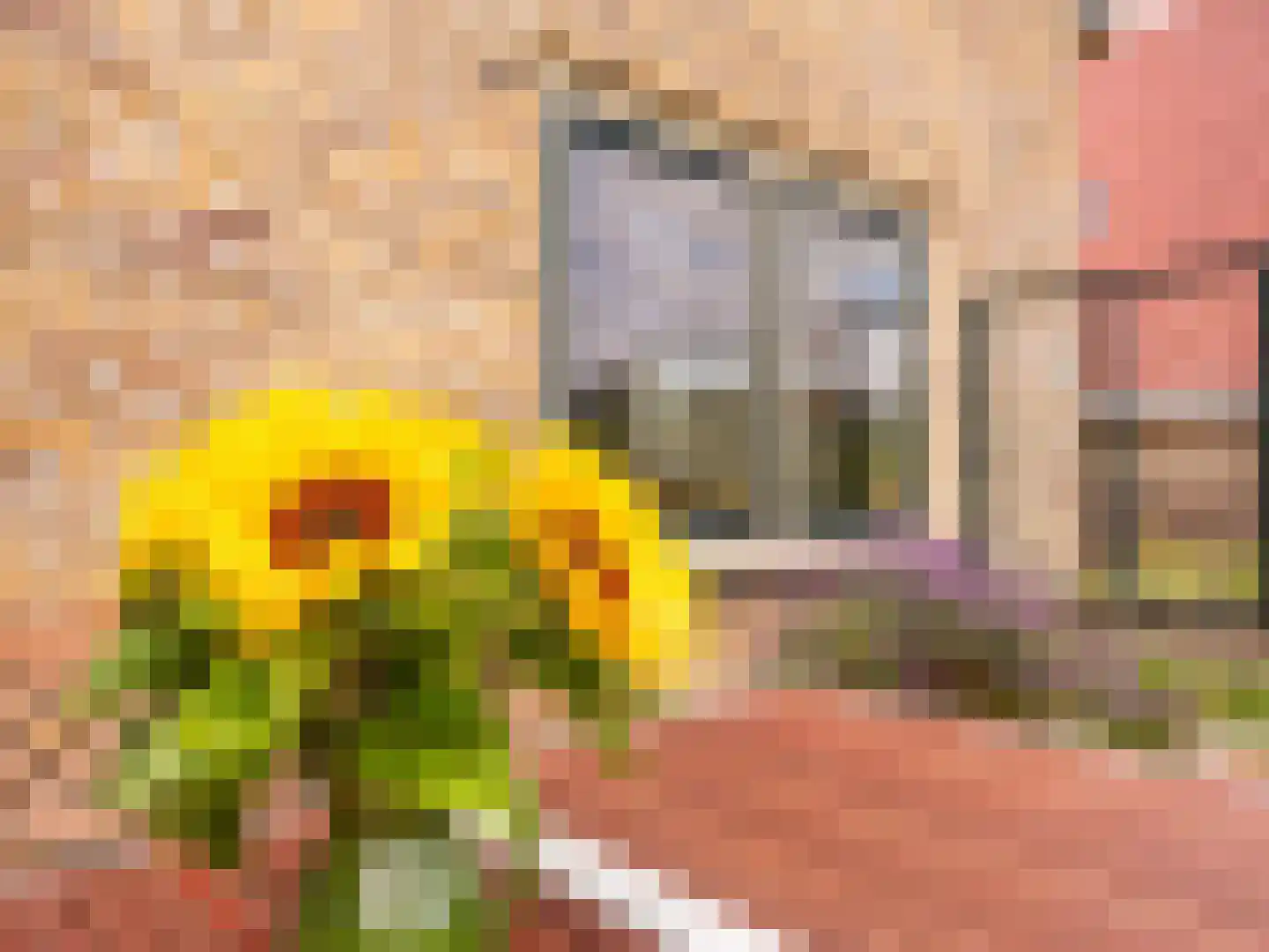 Kerkstraat 15 Bergen aan Zee thumbnail 42