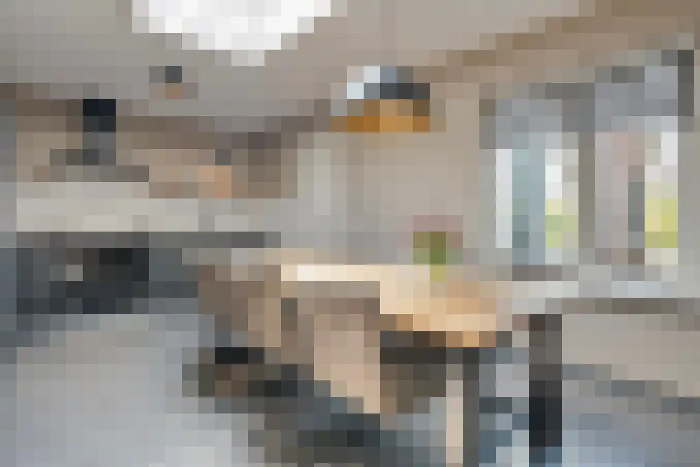 Kerkstraat 15 Dedemsvaart thumbnail 10