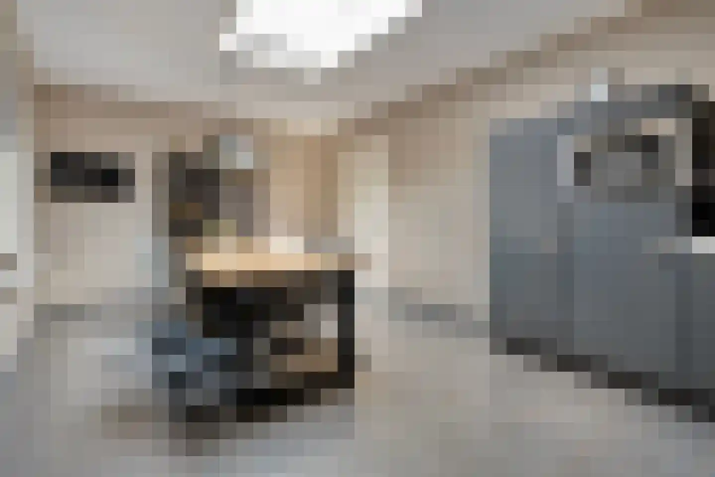 Kerkstraat 15 Dedemsvaart thumbnail 12