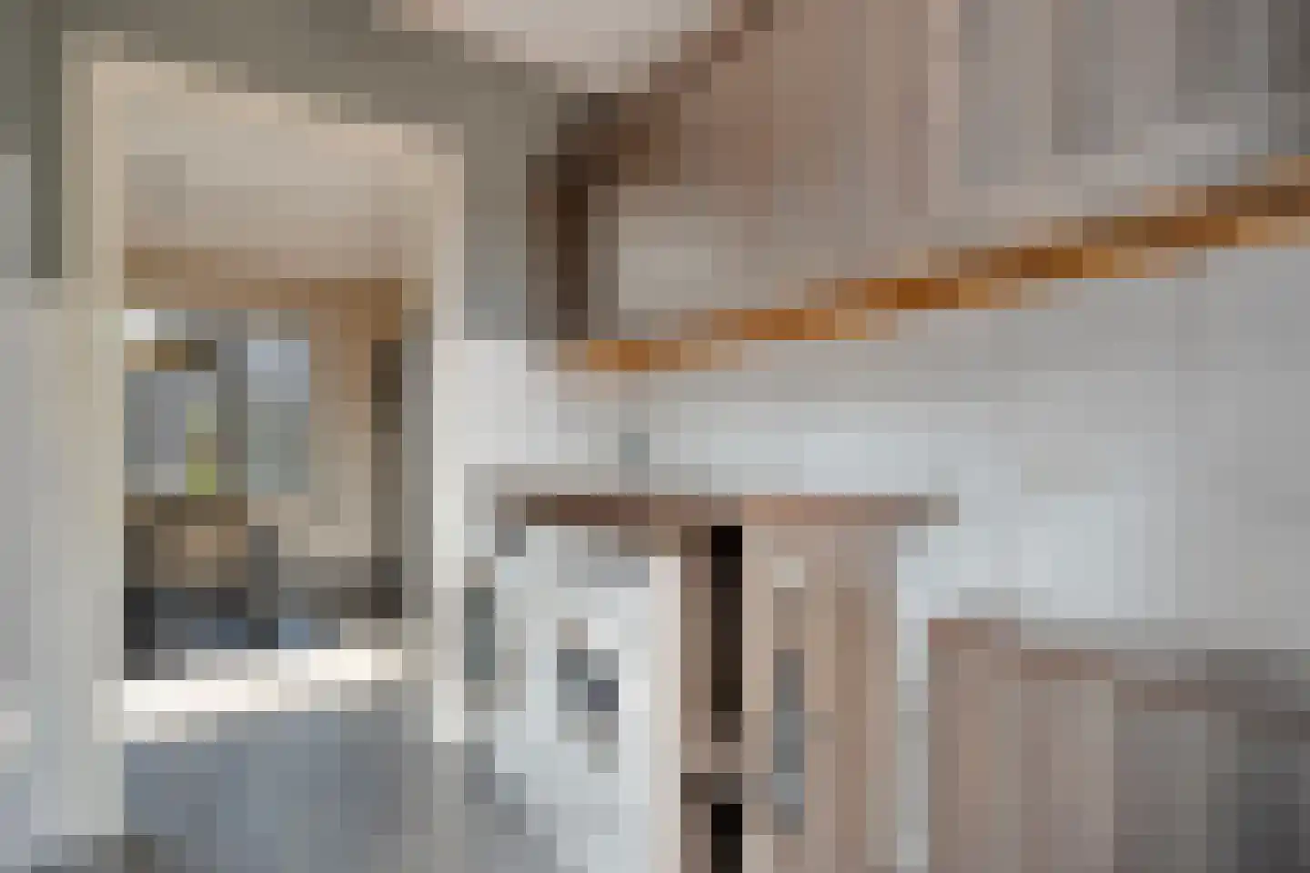 Kerkstraat 15 Dedemsvaart thumbnail 13