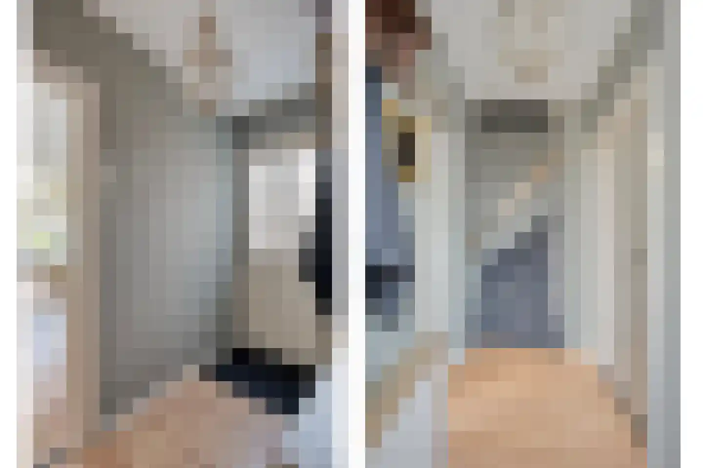 Kerkstraat 15 Dedemsvaart thumbnail 18