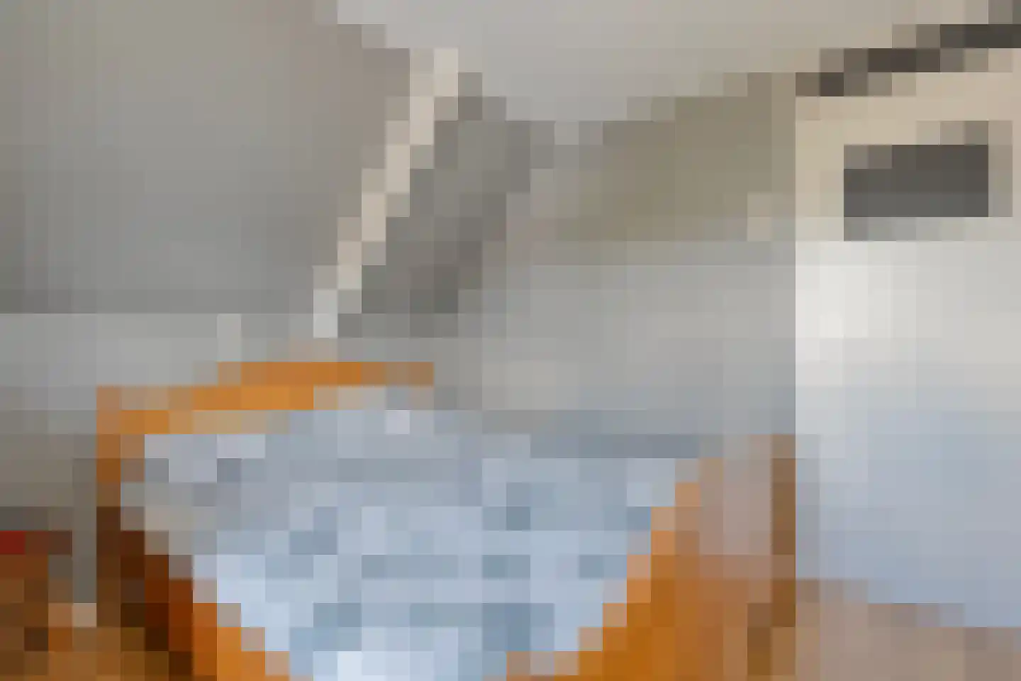 Kerkstraat 15 Dedemsvaart thumbnail 21