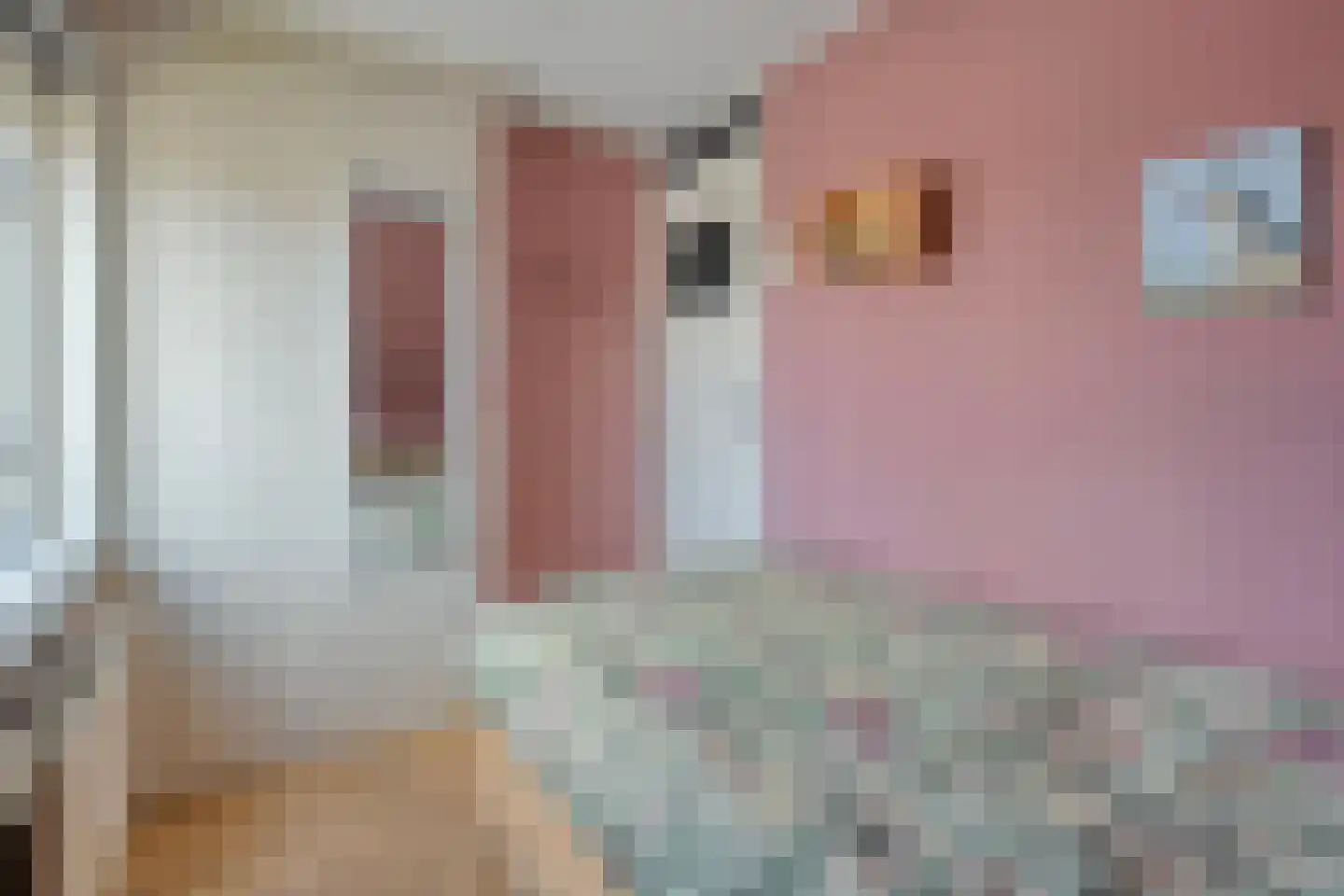 Kerkstraat 15 Dedemsvaart thumbnail 22