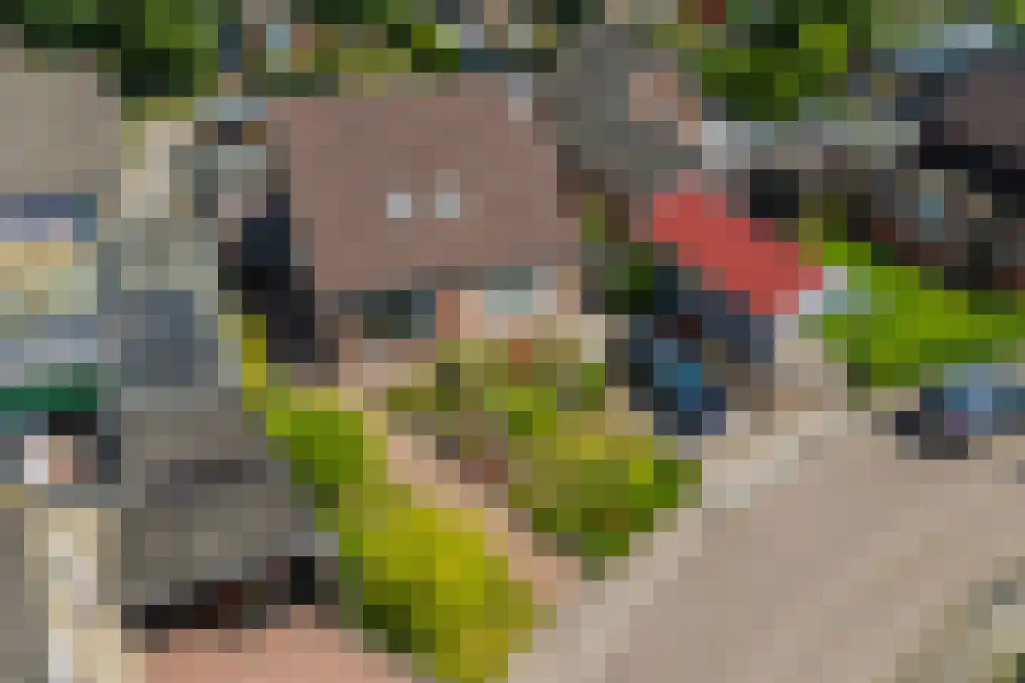 Kerkstraat 15 Dedemsvaart thumbnail 32