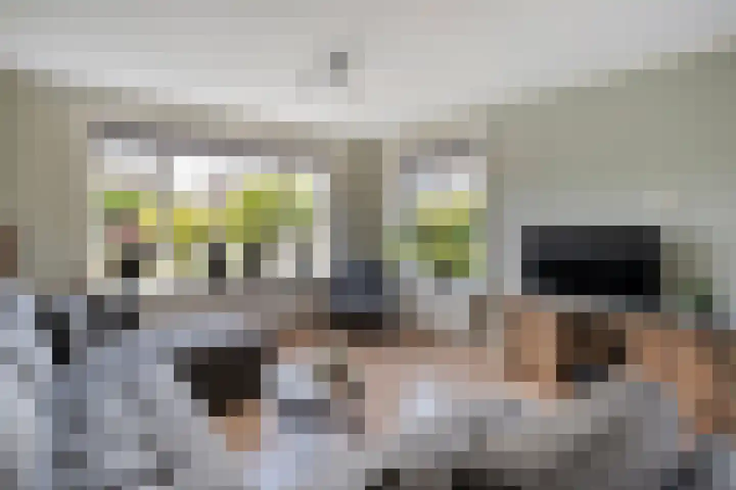 Kerkstraat 15 Dedemsvaart thumbnail 8