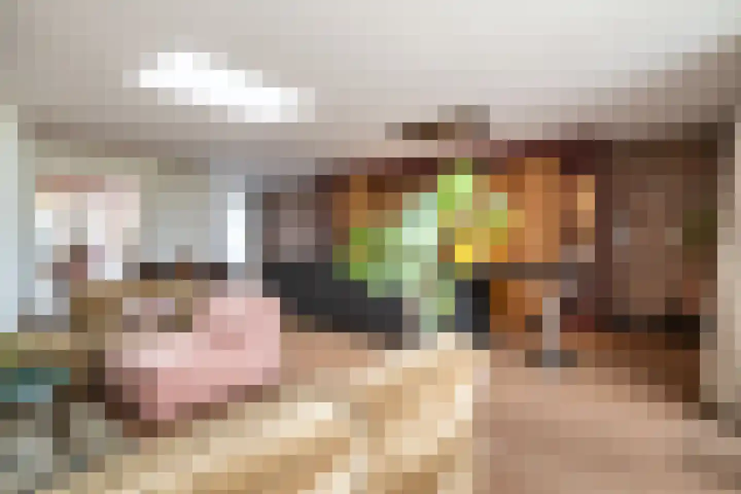 Kerkstraat 15 Elsloo thumbnail 11