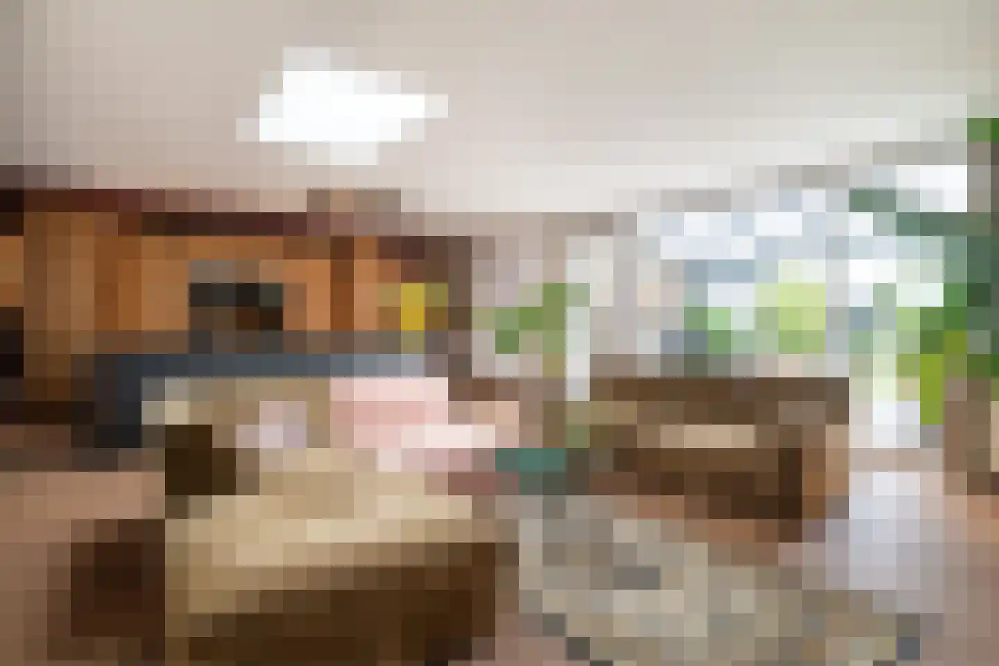 Kerkstraat 15 Elsloo thumbnail 12