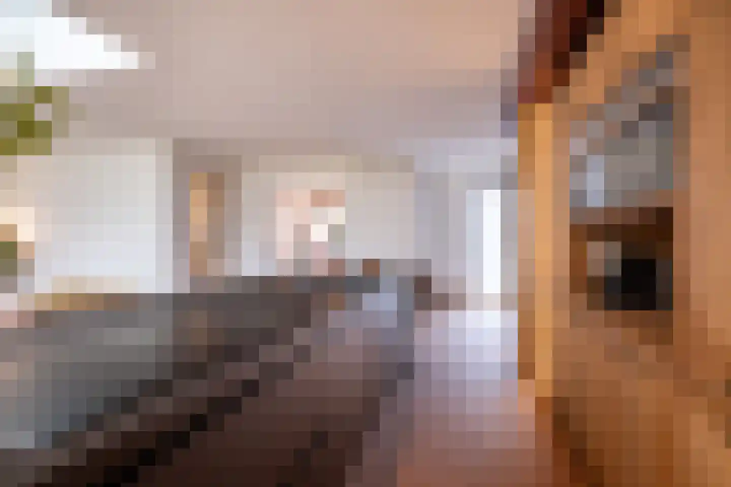 Kerkstraat 15 Elsloo thumbnail 14