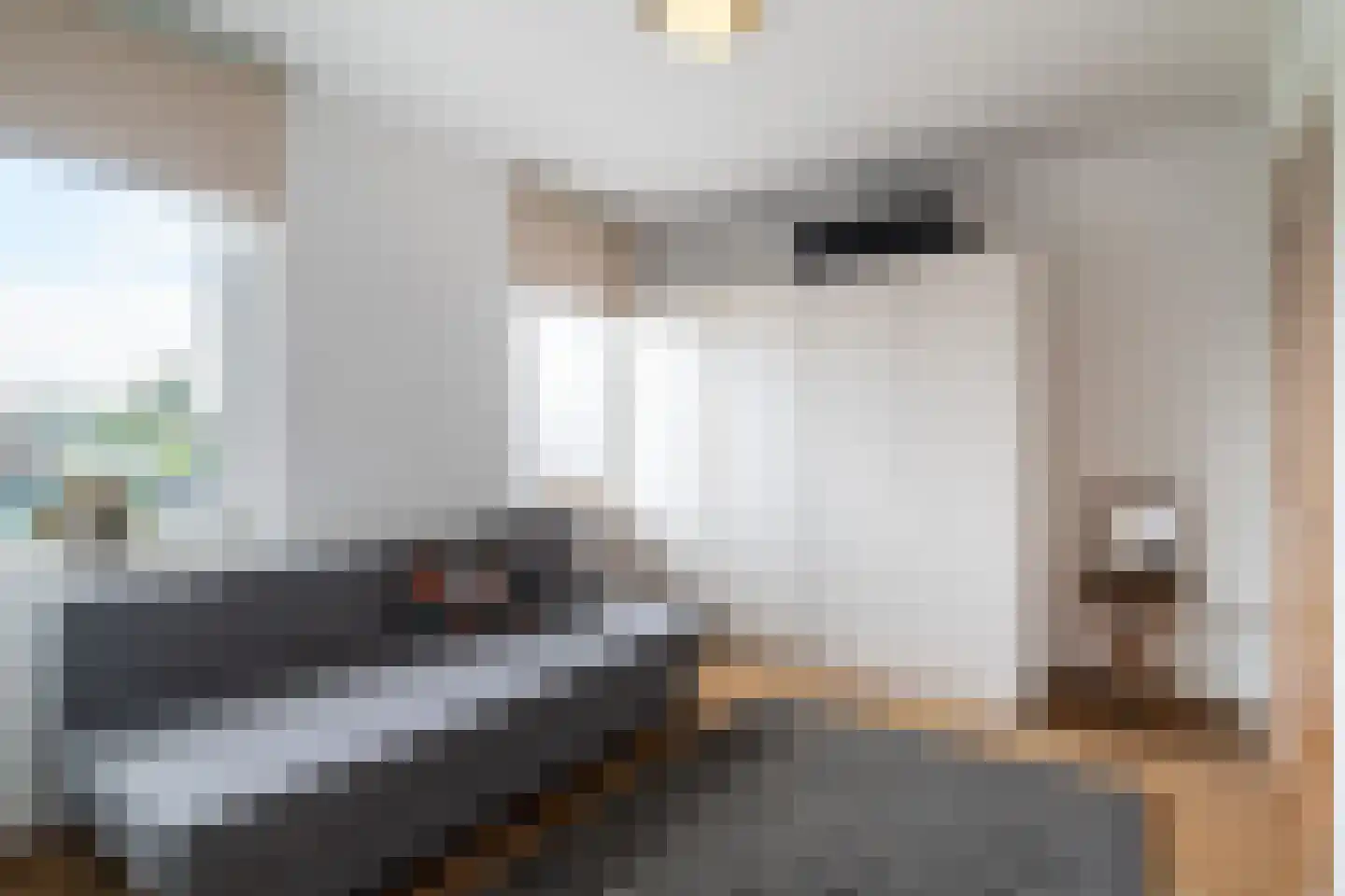 Kerkstraat 15 Elsloo thumbnail 21