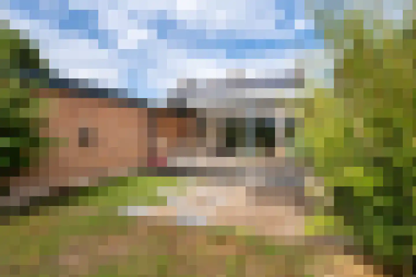 Kerkstraat 15 Elsloo thumbnail 28
