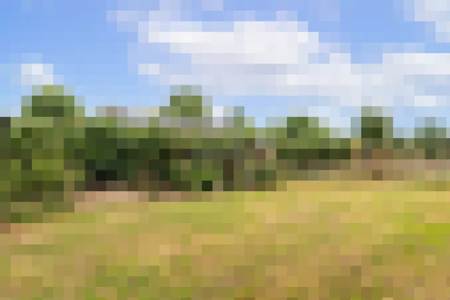 Kerkstraat 15 Elsloo thumbnail 33