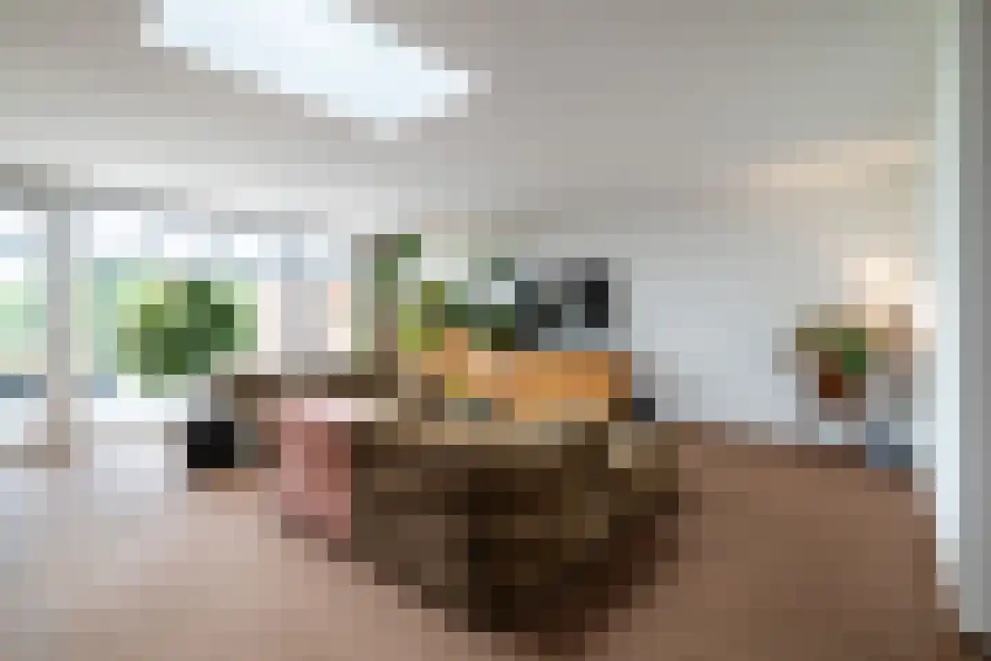 Kerkstraat 15 Elsloo thumbnail 9