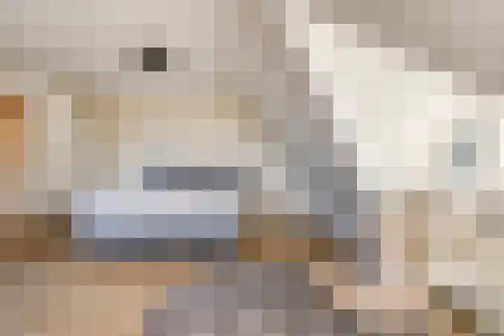 Kerkstraat 15 Erp thumbnail 21